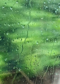 雨季完整版电视剧